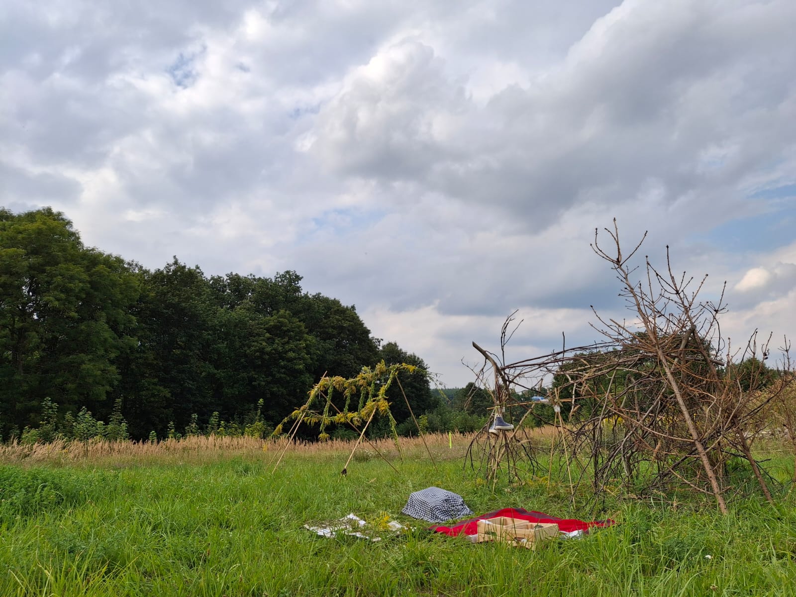Dokumentacja warsztatów podczas Letniego Instytutu Artycypacji 2024